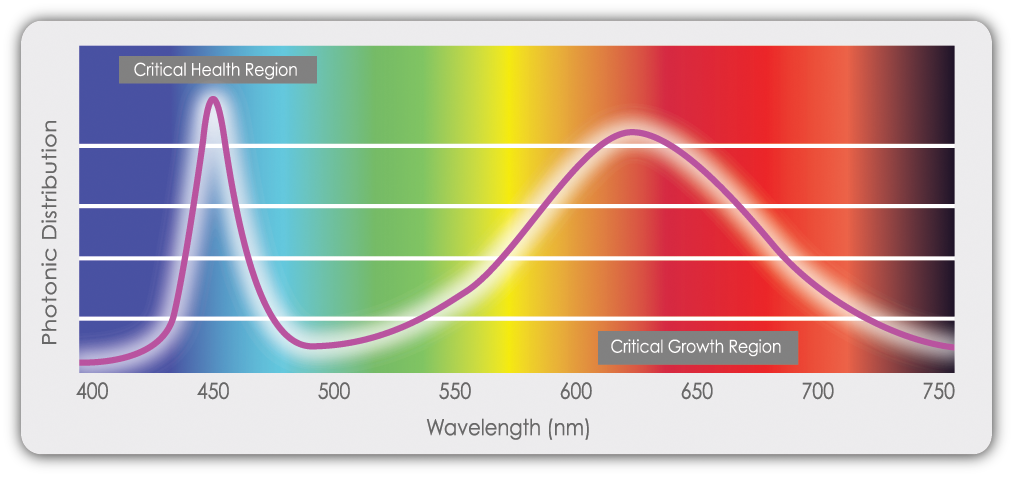 Tg Spectrum Examples TG_SPECTRUM